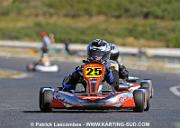 DSC_7178 copie